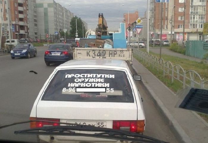 Забавные картинки