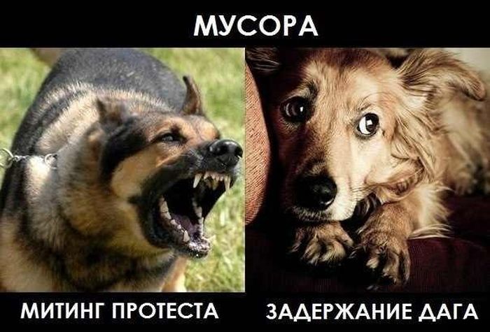 Забавные картинки