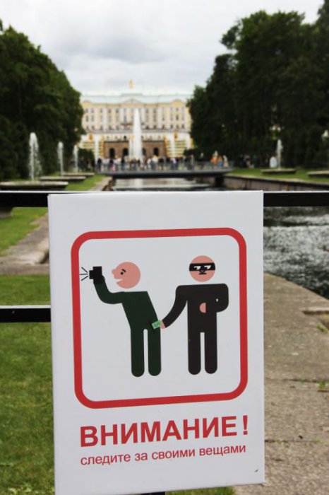 Забавные картинки