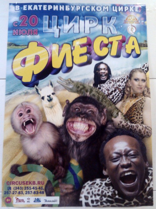 Забавные картинки