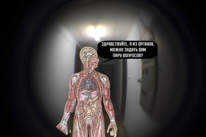 Забавные картинки