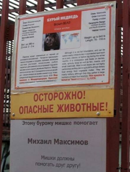 Забавные картинки