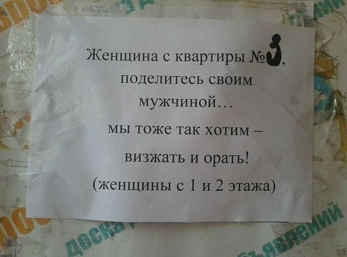 Забавные картинки