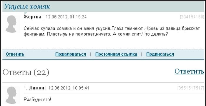 Забавные картинки