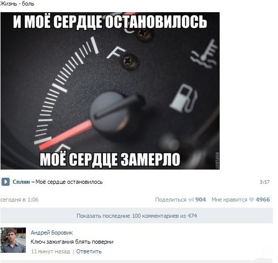 Забавные картинки