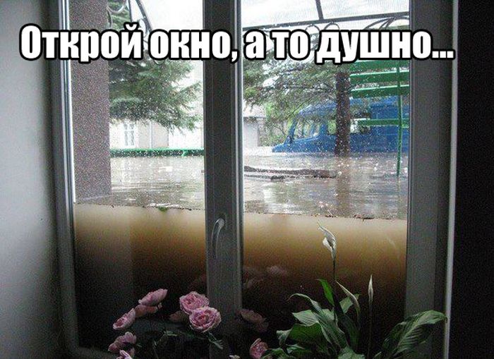 Забавные картинки