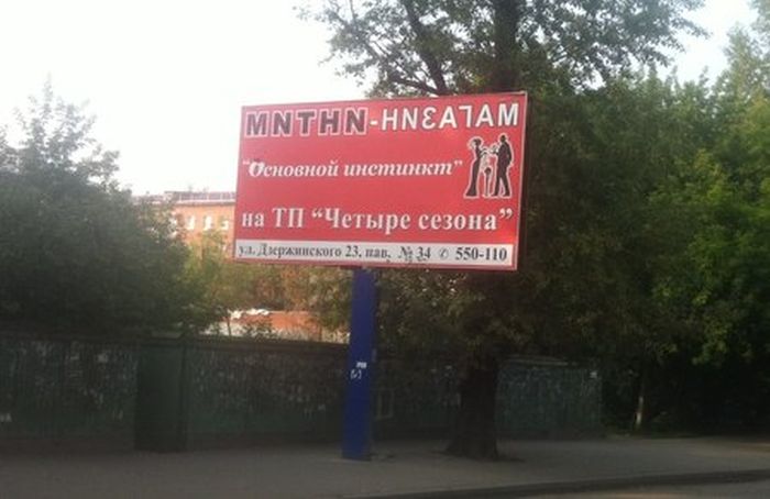 Забавные картинки