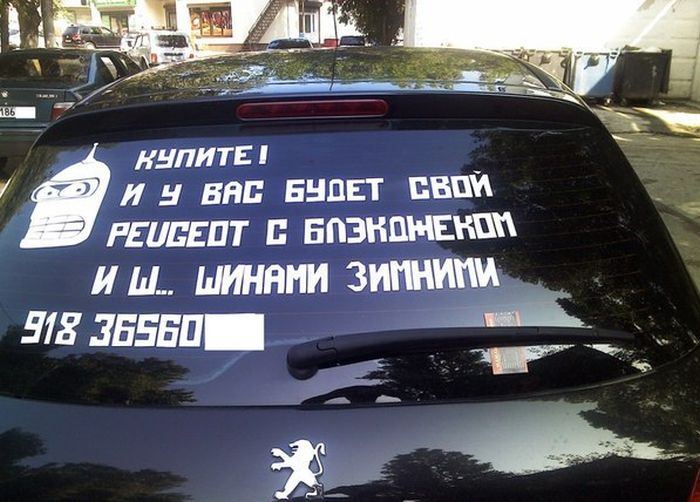 Забавные картинки