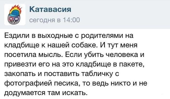 Забавные картинки