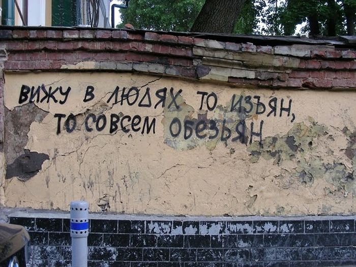 Забавные картинки