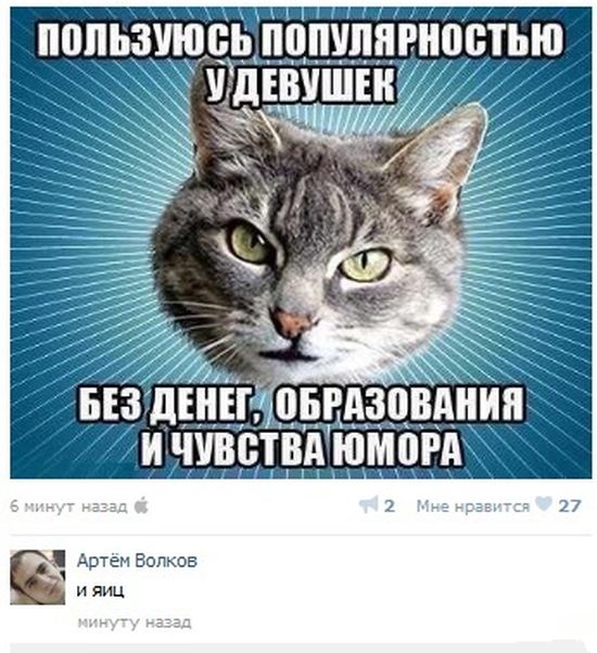 Забавные картинки