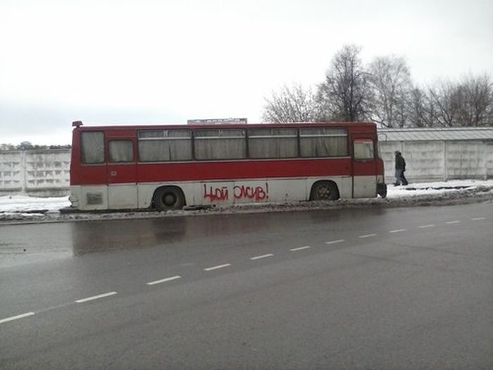 Забавные картинки