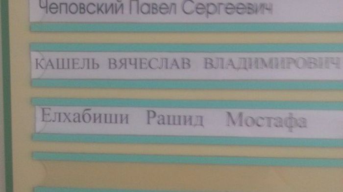 Забавные картинки