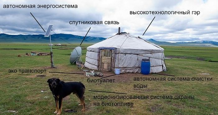 Забавные картинки