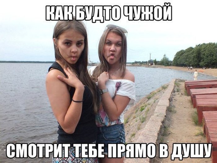 Забавные картинки