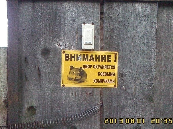 Забавные картинки