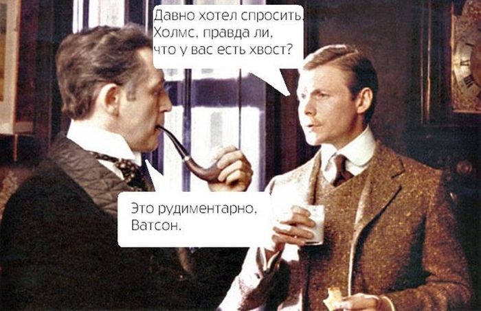 Забавные картинки