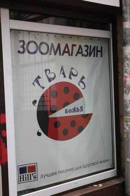Забавные картинки