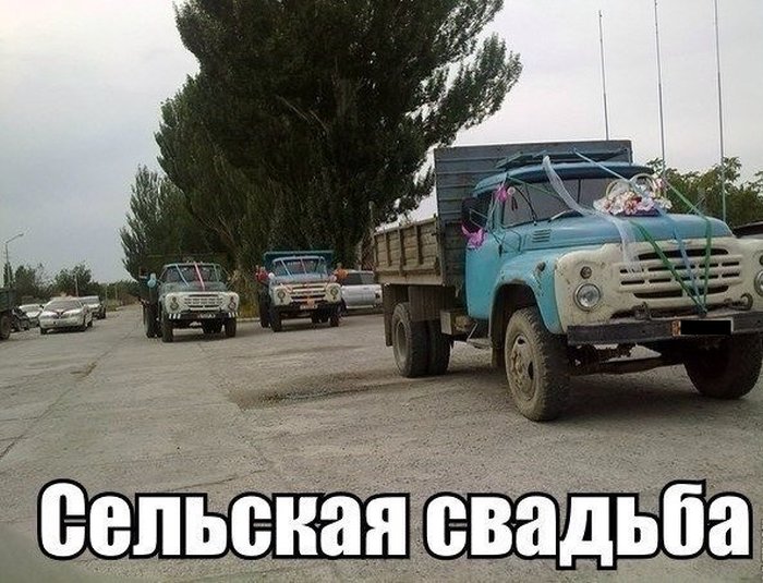 Забавные картинки