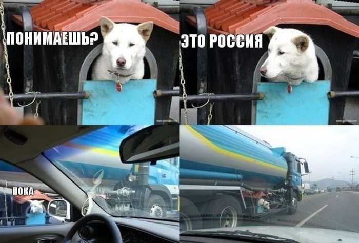 Забавные картинки