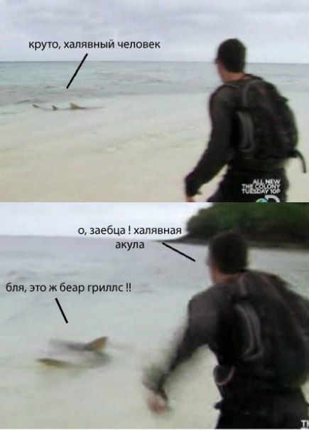 Забавные картинки