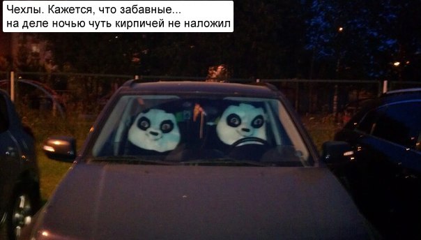 Забавные картинки