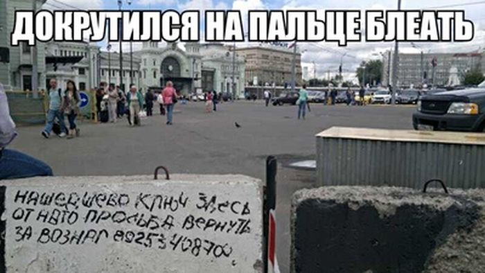 Забавные картинки
