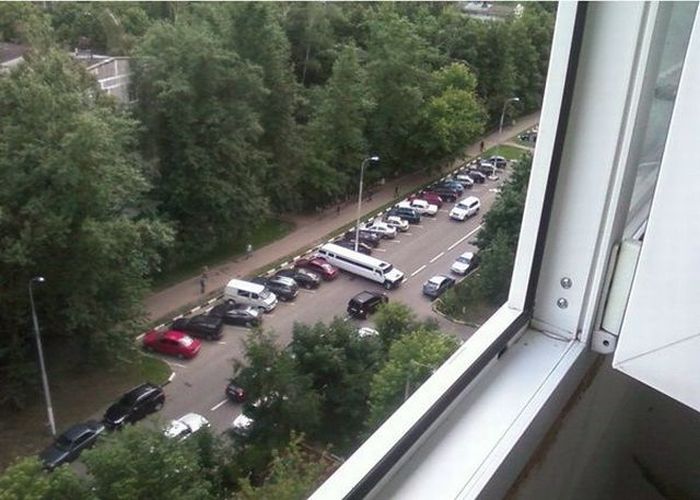 Забавные картинки