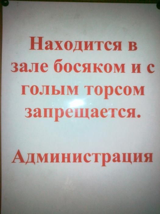 Забавные картинки