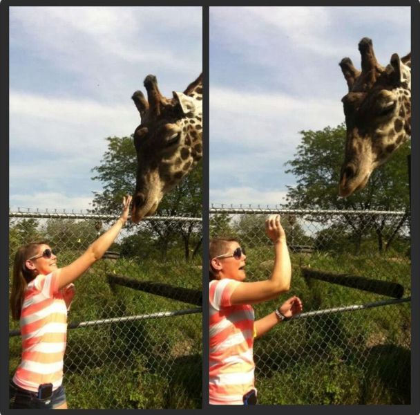 Забавные картинки