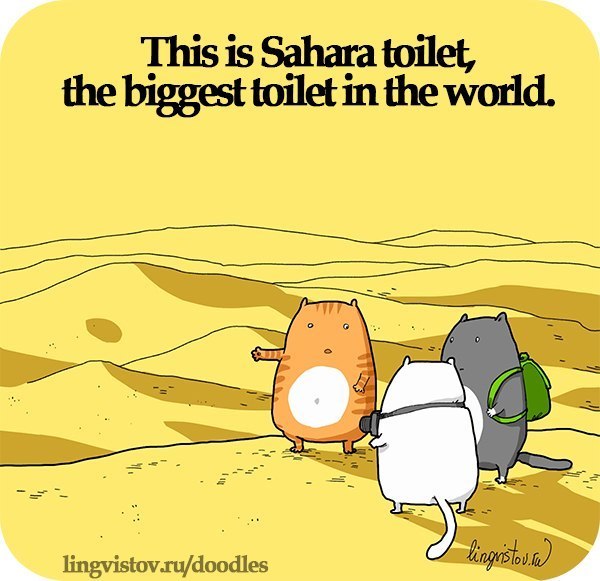 Забавные картинки