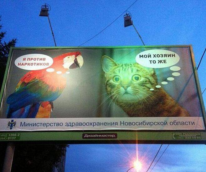 Забавные картинки