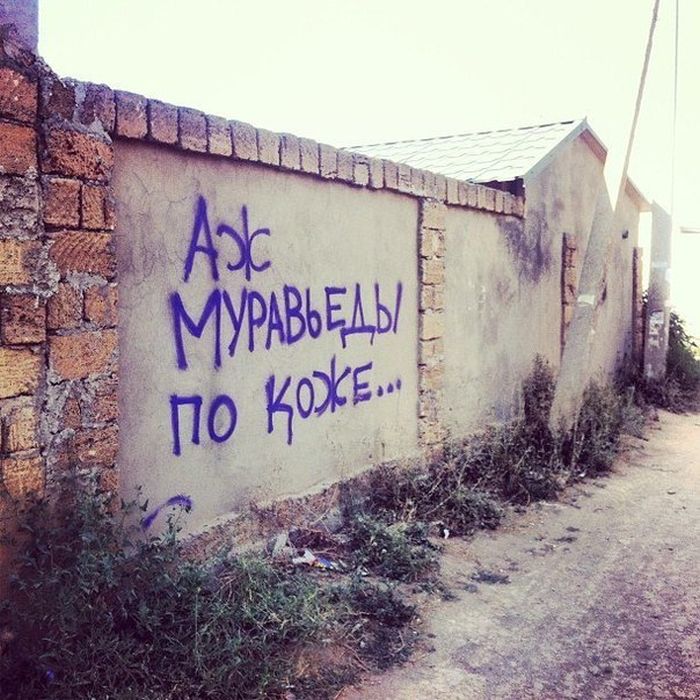 Забавные картинки