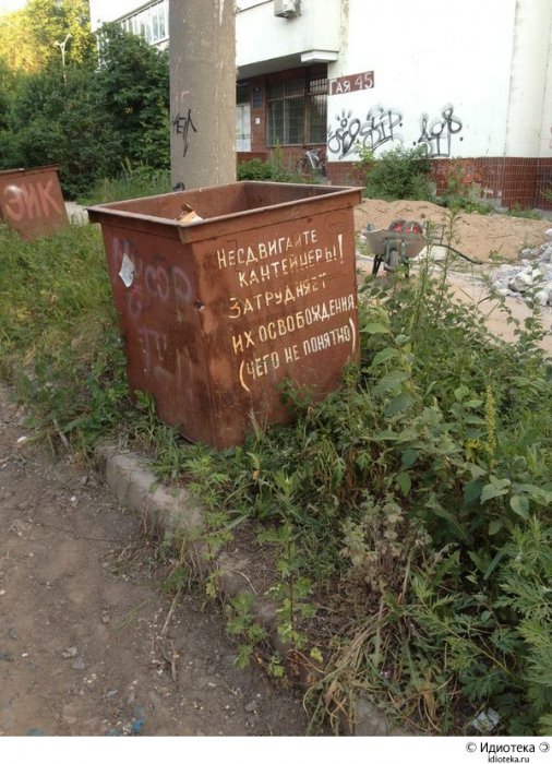 Забавные картинки