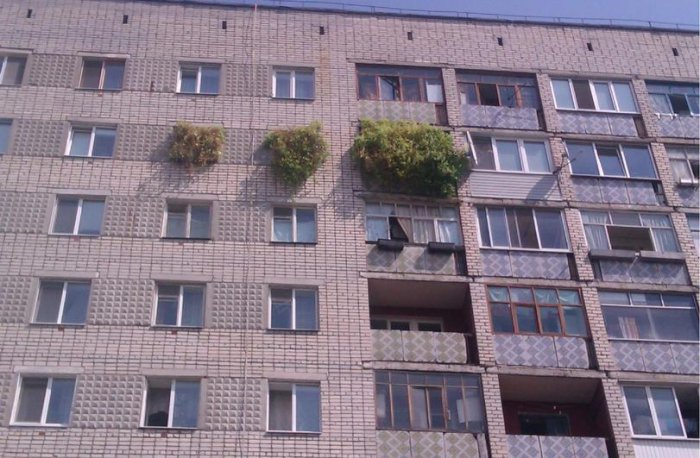 Забавные картинки