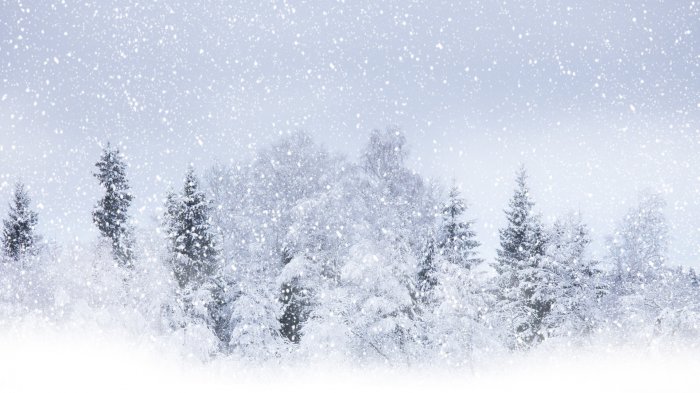 Обои на рабочий стол / Wallpapers by  famdoc mix 924