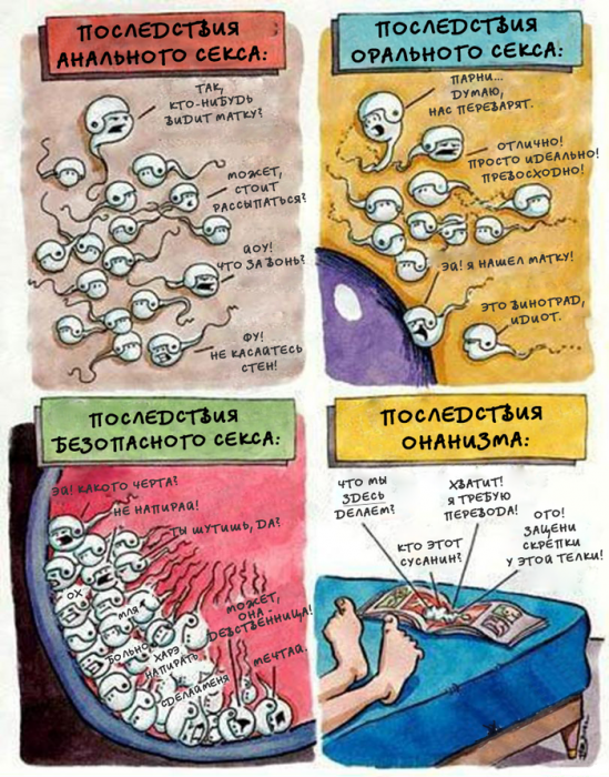 Забавные картинки