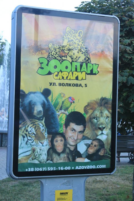 Забавные картинки