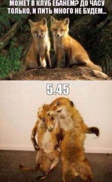 Забавные картинки