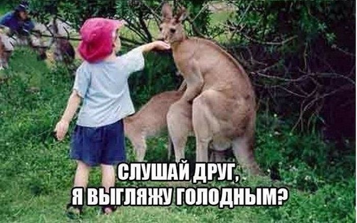 Забавные картинки