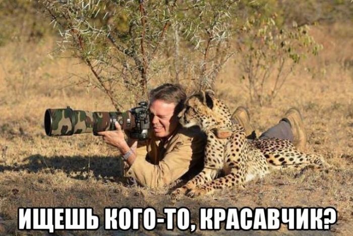 Забавные картинки