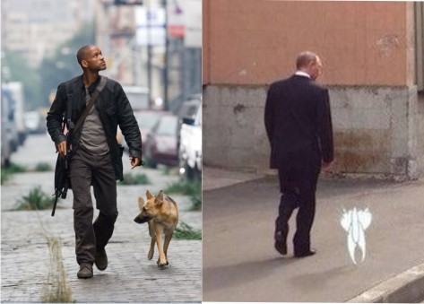 Забавные картинки