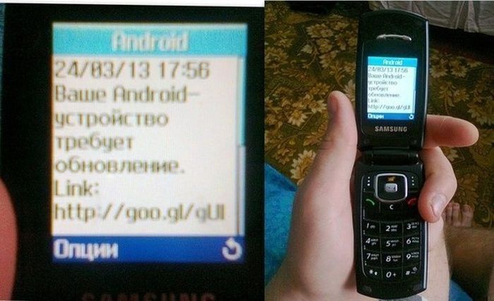 Забавные картинки