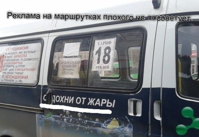 Забавные картинки