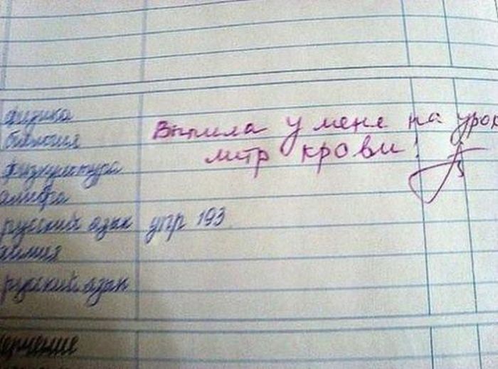 Забавные картинки