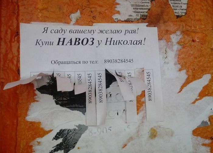 Забавные картинки
