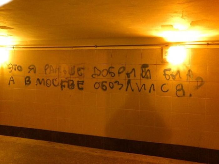 Забавные картинки