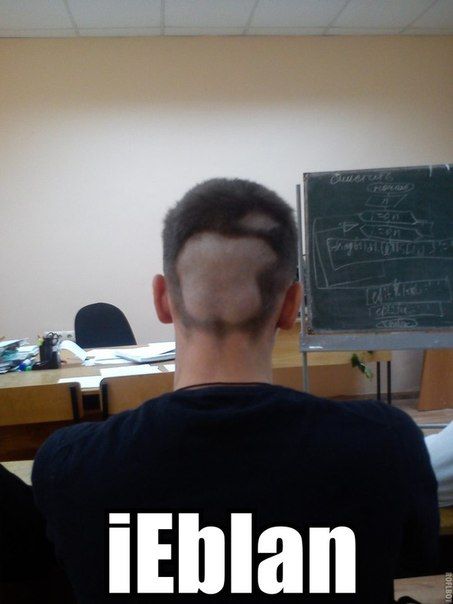 Забавные картинки