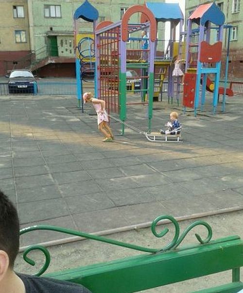 Забавные картинки