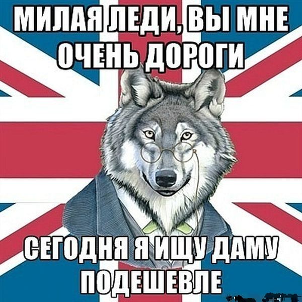 Забавные картинки